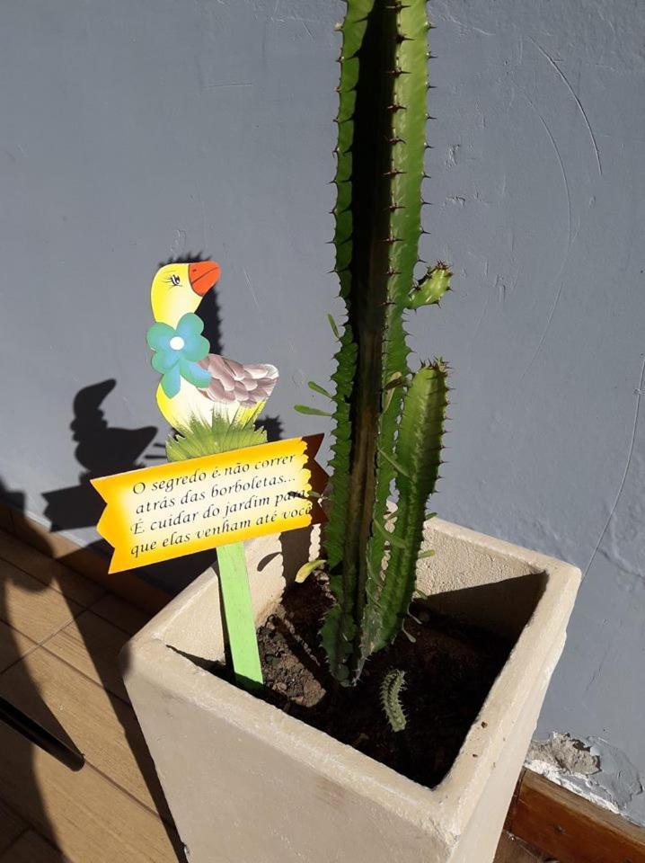 Aconchego De Um Lar Hospedagem Domiciliar Cabo Frio Exteriér fotografie